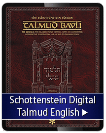 Talmud - Schottenstein English Digital Edition