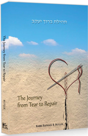 The Journey From Tear to Repair