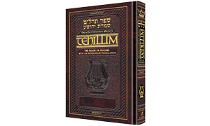 Schottenstein Edition Interlinear Tehillim