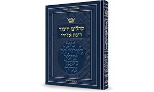 Tehillim Hebrew Only - Children's and Youth