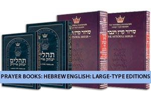 Prayer Books: Hebrew English: Large-Type Editions