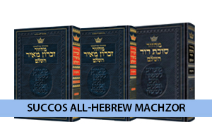 Succos All Hebrew Machzor