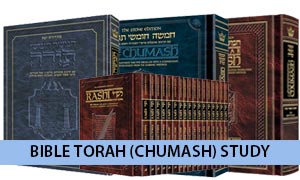 Bible Torah (Chumash) Study Versions