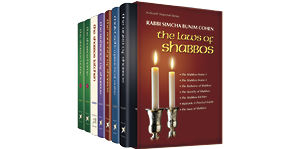 Shabbos and Festivals